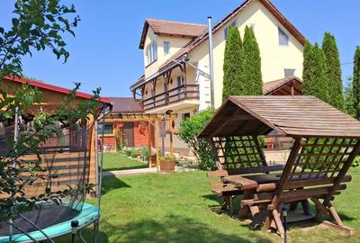 Oportunitate de investitie. Pensiune de vanzare la Vistisoara. - 5