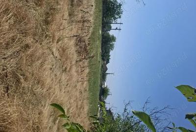 Teren de 2525 mp, în Aurora - 2