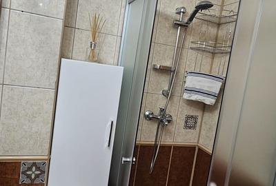 Garsonieră decomandată, mobilată în Dristor - 13