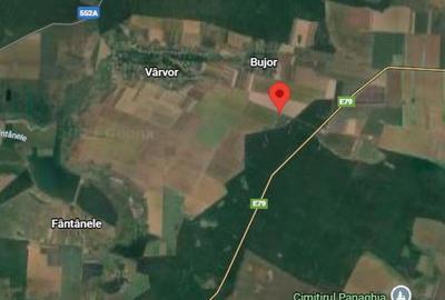 Teren de 2975 mp, în Vârvor - 7