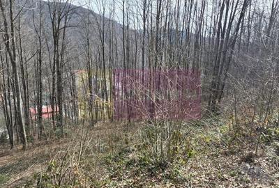 Teren Construcții intravilan de 338 mp, în Sud-Vest - 1