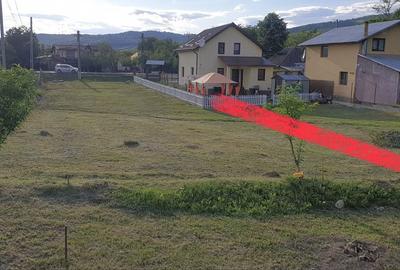 Teren de 1170 mp, în Dumbrăvești - 6