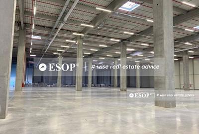 Spațiu comercial, de 4,000 mp, în Chitila - 2