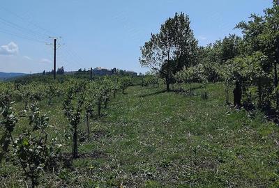 Teren de 6000 mp, în Fălticeni - 4