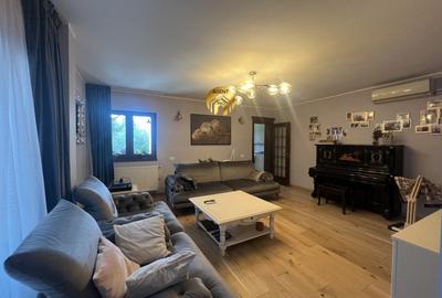 Pret redus! Doua Vile Individuale + Garaj - teren 1200mp - Chitila - 6