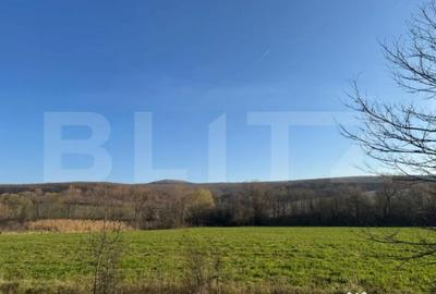 Teren de 13374 mp, în Central - 4