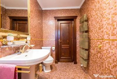 Casă cu 7 camere cu Piscina în Ciofliceni - 3