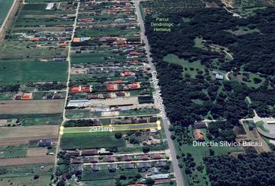 Teren Construcții intravilan de 2971 mp, în Hemeiuș - 1