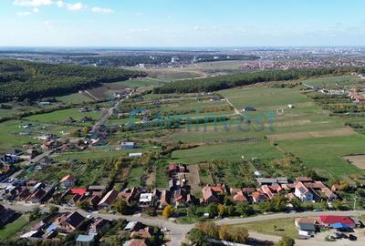 Casă individuală cu 2 camere cu Canalizare în Betfia - 10