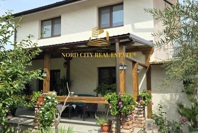 De vanare - Casa Dragomiresti Vale - 5