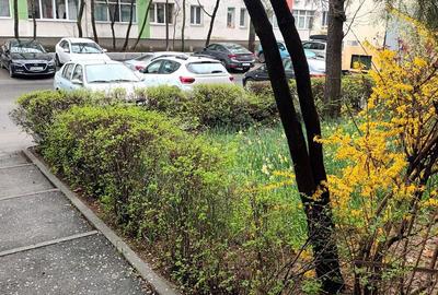 Apartament cu 3 camere decomandat în Giurgiului - 1