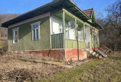 Casă în Blăjani - 5