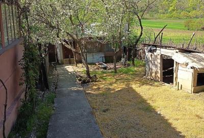 Casă cu 3 camere cu Teren 3000 Mp în Central - 8