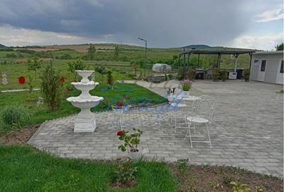 Casa 3 camere + plantatie de zmeura, 200 mp, Fodora, Cluj - 2