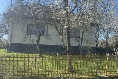 Casă cu 3 camere în Urmeniș - 1