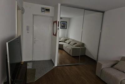 Garsonieră semidecomandată, mobilată în Teiul Doamnei - 3