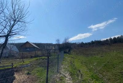 Teren cu casa la stadiul de acoperis si cabanuta - 1