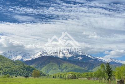 Teren agricol extravilan de 2000 mp, în Sud - 1