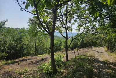 Prahova, orasul Boldesti-Scaeni, satul Seciu, teren 3007mp, d=36m - 8