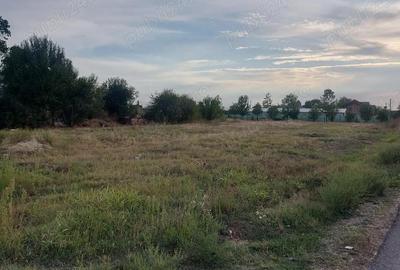 Inchiriere teren intravilan, zona Gura Sutii - Dambovita - 5