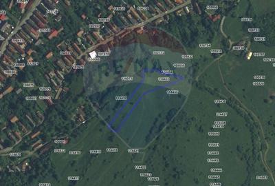 Teren extravilan, faneata, 4000 mp, Tarlungeni - 5