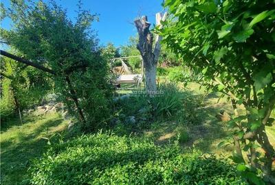 Casă cu 3 camere în Central - 5