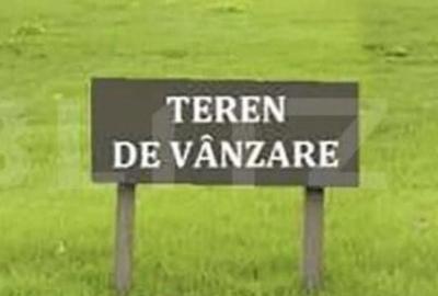 Teren de 3600 mp, în Dumeni - 1