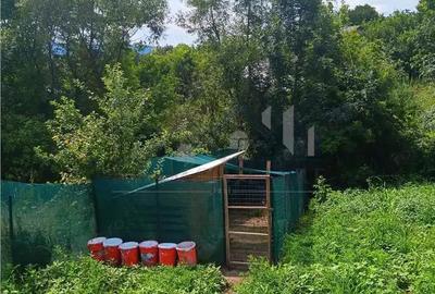 Teren de 700 mp, în Ciurbești - 5