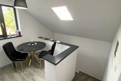Spatiu comercial tip vila, Serbanesti - 10