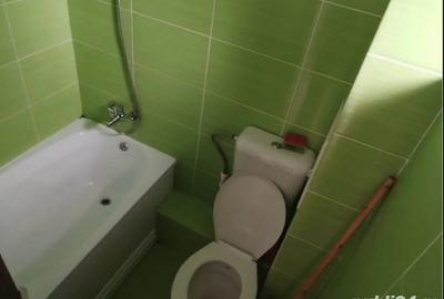 Dau in chirie apartament in parcul tineretului - 3