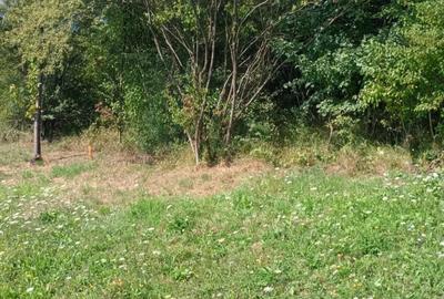 Teren de 1084 mp, în Bejan - 2