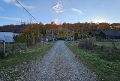 Teren intravilan 1,450mp Ilisesti / DN 17-Suceava - 18