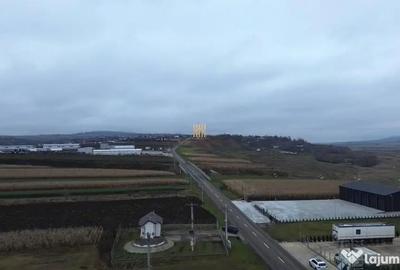 Teren de 14066 mp, în Mihoveni
