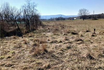 RECO Teren cu casa in Lugasu de Sus. - 14