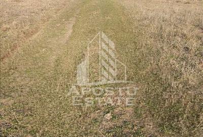 Spațiu comercial, în Bârsa