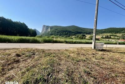 Teren de 700 mp, în Livezile