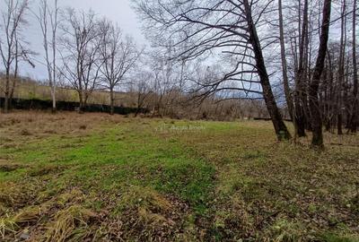 Resita, Teren Drept Intravilan, Langa Prau si Drum, Parcelab - 4