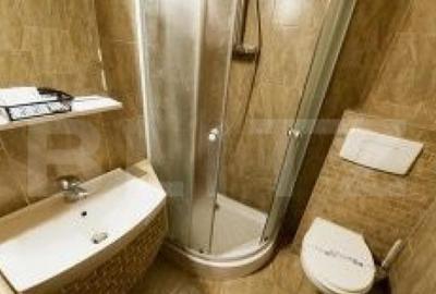 Pensiune de inchiriat, 450 mp, zona Lugojului Pensiune de inchiriat, 450 mp, zona Lugojului - 6