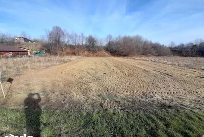 Teren de 5000 mp, în Crăcăoani - 4
