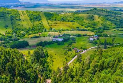 Teren de 7400 mp, în Tărlungeni - 3