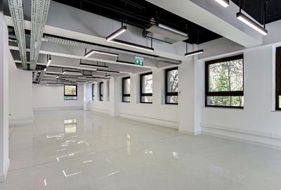 Spațiu modern de inchiriat destinat clinicilor sau companiilor - 2