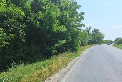 Butimanu Teren Intravilan Utilitati OFERTA - 14