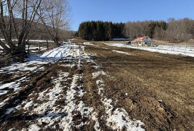 Teren Construcții intravilan de 4521 mp, în Valea Doftanei - 6