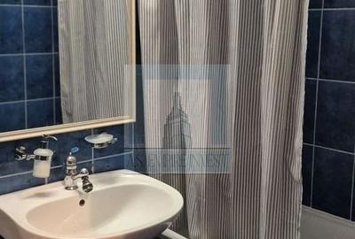 Apartament cu 2 camere semidecomandat, mobilat în Vlahuță - 9