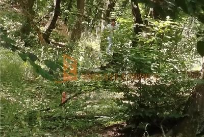 Teren de 1000 mp, în Merei - 9