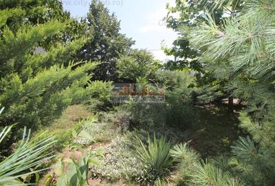 Vanzare Vila  Pipera 1350 mp teren adiacent Iancu Nicolae - 51