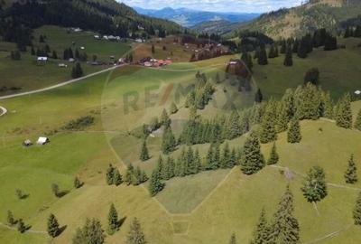 Teren de 14318 mp, în Paltin - 13