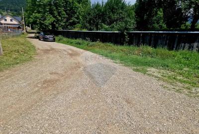 Teren intravilan 1000 mp Vii?oara, utilita?i - 8