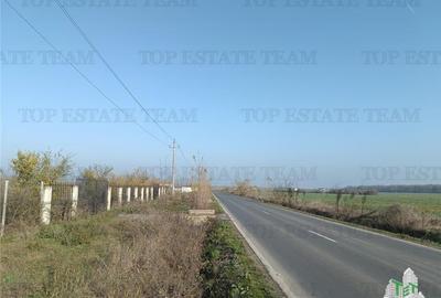 Super teren intravilan (Lot 1) la  DJ 101, loc. Gruiu IF, ideal pentru dezvoltat - 2