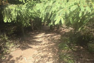 Teren de 27020 mp, în Piatra - 4